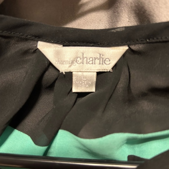Large charming Charlie top - Picture 5 of 5